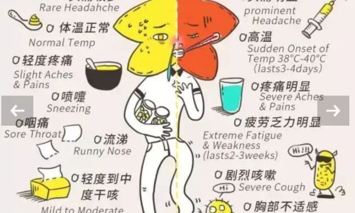 玄参配伍禁忌中药-玄参不与什么中药合用网- 玄参配伍禁忌中药知识,分享玄参不能与什么药同用