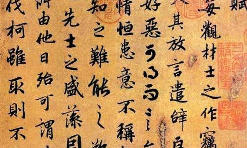 玄参不与什么中药合用会中毒-玄参不与什么中药合用网- 玄参配伍禁忌中药知识,分享玄参不能与什么药同用